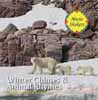 Winters Chimes & Animal Rhymes